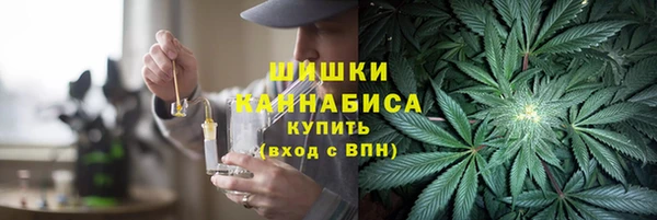 молекула духа Гвардейск