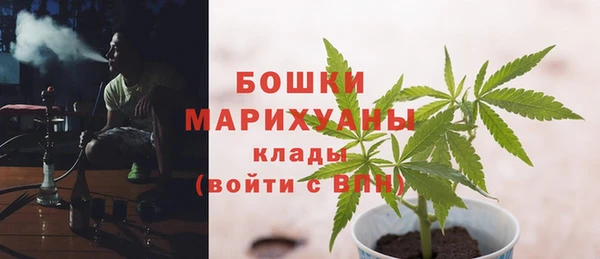 ешки Няндома