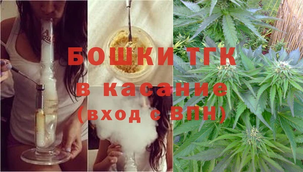 каннабис Новодвинск