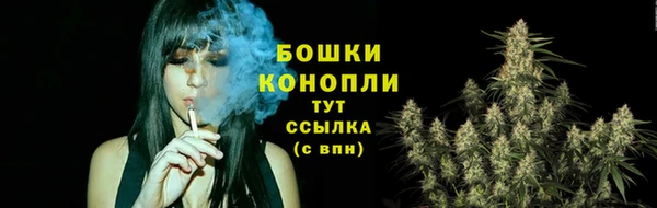 молекула духа Гвардейск