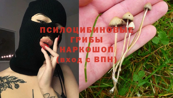 каннабис Новодвинск