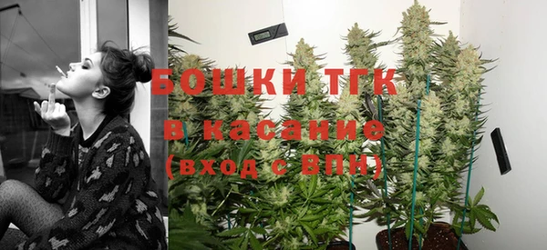 spice Новозыбков