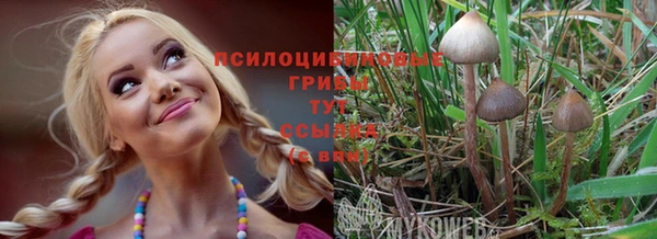 spice Новозыбков