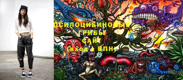 а пвп мука Галич