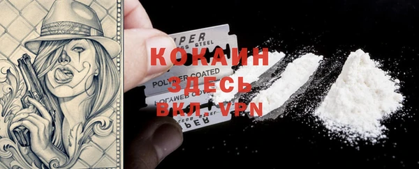 spice Новозыбков