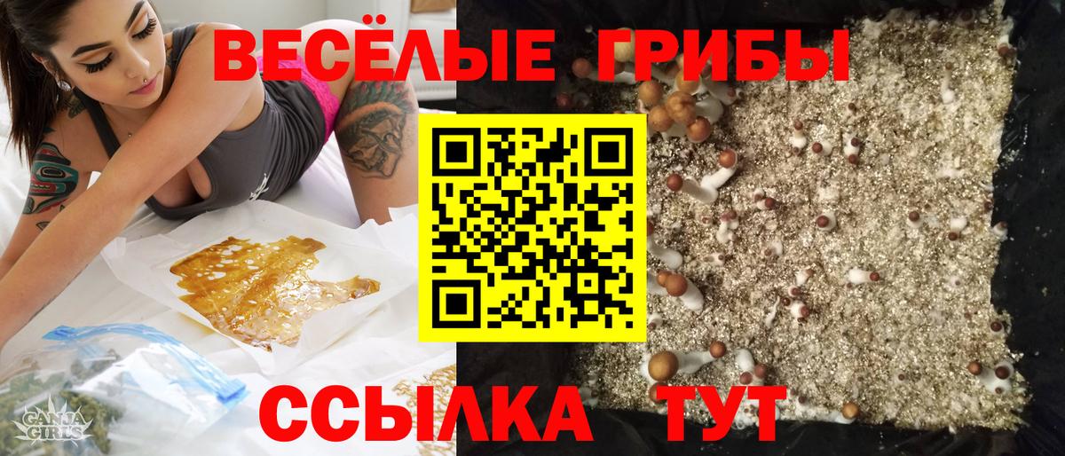 Печора  Псилоцибиновые грибы прущие грибы  Галлюциногенные грибы MAGIC MUSHROOMS  где можно купить наркотик  Вход с VPN 