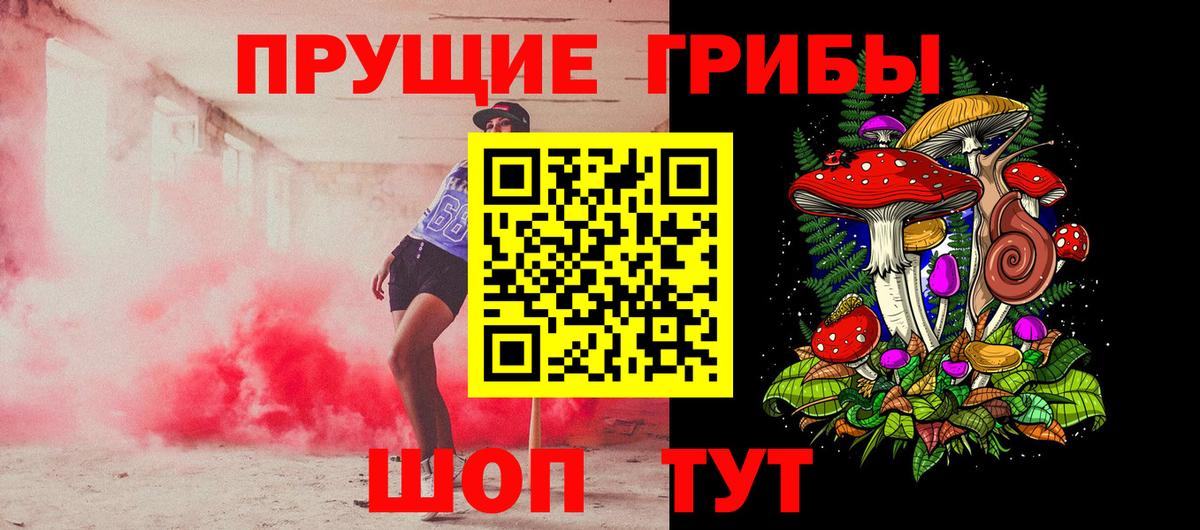 Псилоцибиновые грибы Psilocybine cubensis Печора